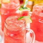 Watermelon Slushy - The Stay At Home Chef