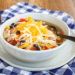 10 Minute Southwest Chicken Soup