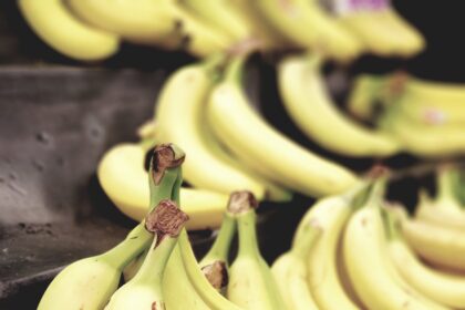 Are Bananas Keto? Bananas on a Keto Diet: Tips, Recipes and Substitutes