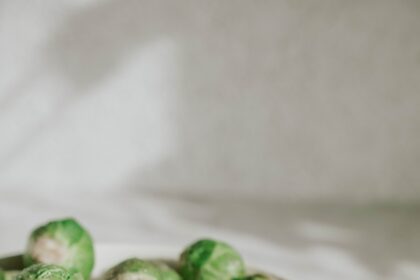 Are Brussels Sprouts Keto? Brussels Sprouts on a Keto Diet: Tips, Recipes, and Substitutes