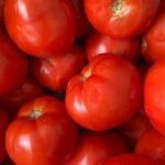 Are Tomatoes Keto? Tomatoes on a Keto Diet: Tips, Recipes, and Substitutes