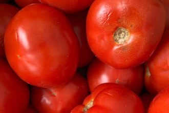 Are Tomatoes Keto? Tomatoes on a Keto Diet: Tips, Recipes, and Substitutes