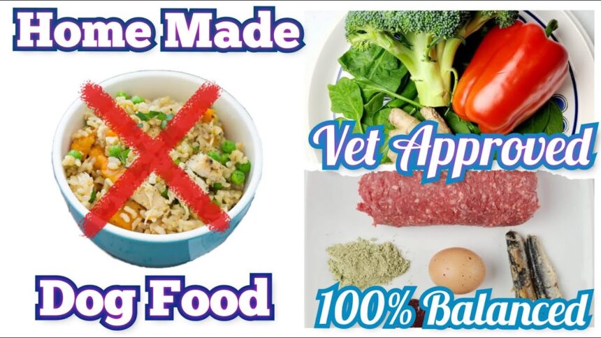 Homemade Dog Food Recipe | Vet Approved | 100% Balanced #barfdiet #homemadedogfood