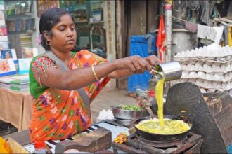 Queen of Egg Recipes! Fluffy Omelet, Boiled Fried Eggs & Bread Omelette | Indian Street Food