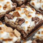 Decadent S'mores Brownies