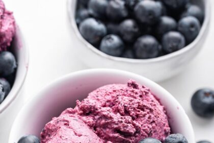 A few scoops of blueberry frozen yogurt in a small bowl with fresh blueberries inside the bowl.