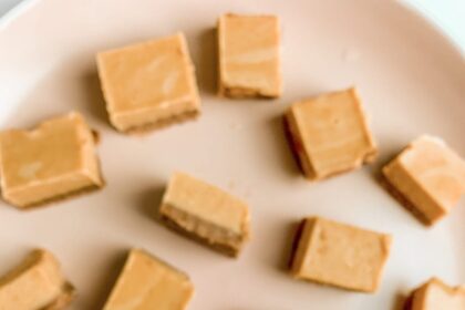 Chocolate Peanut Butter Vegan Fudge [Vegan] – One Green Planet