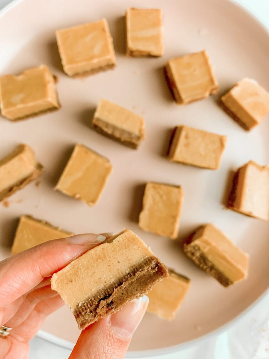 Chocolate Peanut Butter Vegan Fudge [Vegan] – One Green Planet