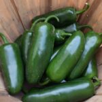 What to Do with So Many Peppers – One Green Planet