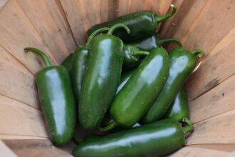 What to Do with So Many Peppers – One Green Planet