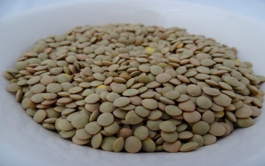 6 Protein-Packed Legumes and Their Health Benefits – One Green Planet