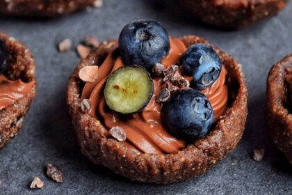 10 Plant-Based Blueberry Chocolate Treats – One Green Planet