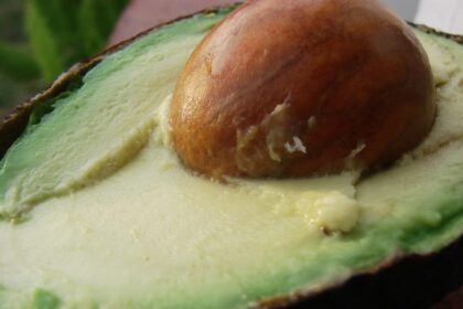 Why You Should Eat Avocado seeds and How to Make Them Tasty – One Green Planet