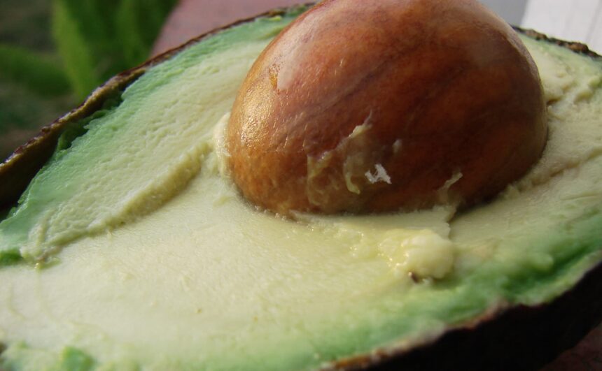 Why You Should Eat Avocado seeds and How to Make Them Tasty – One Green Planet