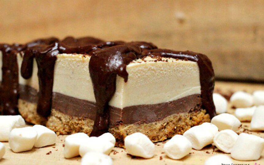 S’mores Ice Cream Cake [Vegan, Gluten-Free] – One Green Planet