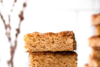 Stack of Snickerdoodle Bars