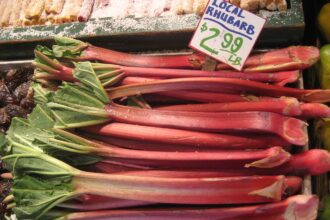 It’s Not Just for Pie! New Ways to Use Rhubarb – One Green Planet