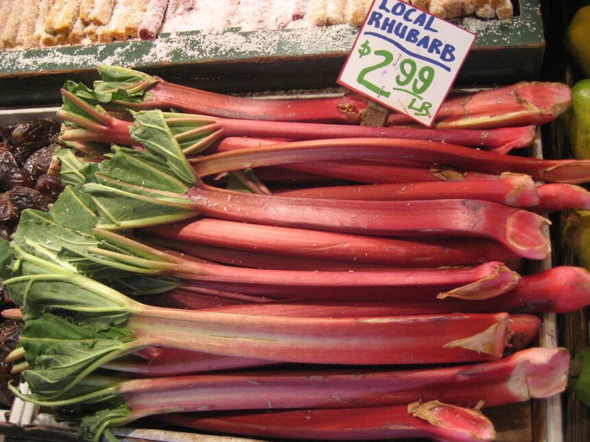 It’s Not Just for Pie! New Ways to Use Rhubarb – One Green Planet