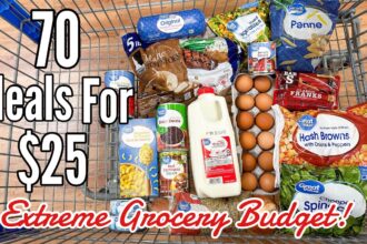 70 Meals For $25 | Quick & EASY Cheap Meal Ideas | Emergency Grocery Budget Shopping | Julia Pacheco