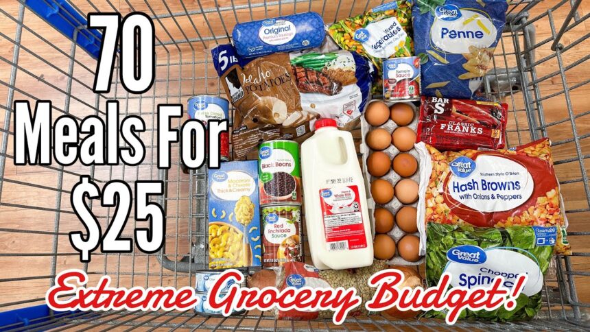 70 Meals For $25 | Quick & EASY Cheap Meal Ideas | Emergency Grocery Budget Shopping | Julia Pacheco