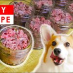 BEST HOMEMADE RAW DOG FOOD RECIPES - MADE EASY!!!