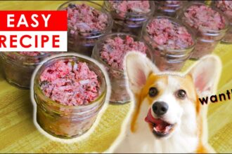 BEST HOMEMADE RAW DOG FOOD RECIPES - MADE EASY!!!