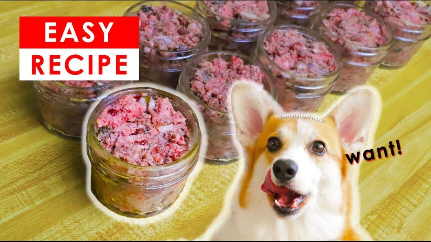 BEST HOMEMADE RAW DOG FOOD RECIPES - MADE EASY!!!