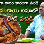 వంకాయ టమాటో రోటి పచ్చడి || Vankaya tomato Roti pachadi || Food on farm ||