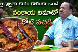 వంకాయ టమాటో రోటి పచ్చడి || Vankaya tomato Roti pachadi || Food on farm ||