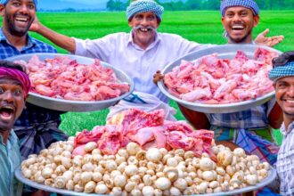 MUSHROOM CHICKEN | Delicious Chicken Recipe Cooking in Village | Quick and Easy Creamy Recipe Making