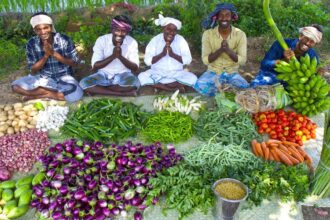 KING of VEGETABLE Recipe | SAMBAR Recipe with Four Side Dish | Veg Village Food Cooking in Village