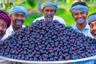 100kg JAVA FRUIT | SWEET FRUIT JAM Recipe Cooking in Village | NAVAL PAZHAM | Black Plum Jamun Fruit