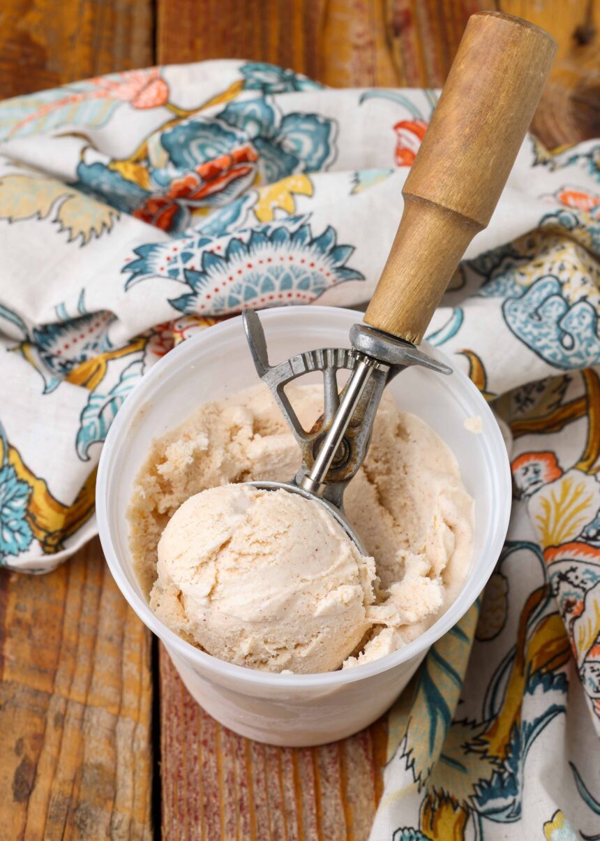 Cinnamon Spice Ice Cream - Philadelphia Style