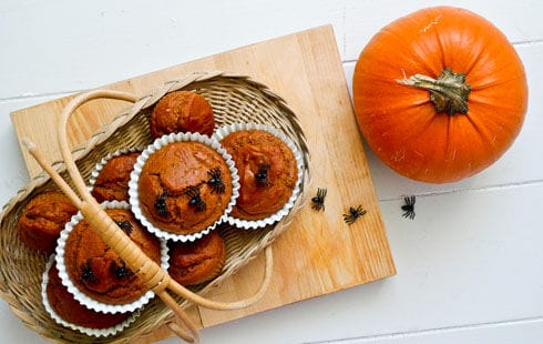 Pumpkin Doesn’t Just Taste Great, This Fall Superfood Can Make You Healthy! – One Green Planet