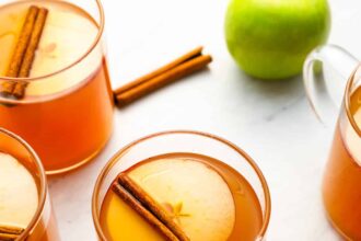 a glass of apple cider topped with an apple slice and a cinnamon stick.