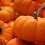 The Surprising Health Benefits of Pumpkin – One Green Planet