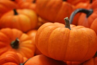 The Surprising Health Benefits of Pumpkin – One Green Planet