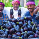 BIG BRINJAL | Fried Baingan Recipe | Brinjal Tawa Fry Recipe Cooking in Village | Eggplant Recipe