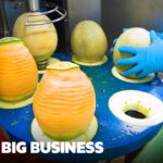 How Qatar Airways Prepares 200,000 Meals From Scratch Every Day | Big Business | Business Insider