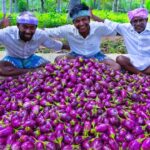 BRINJAL CURRY | Oil Brinjal Curry Recipe Cooking in Village | Eggplant Recipes | Vegetarian Recipes