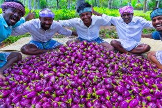 BRINJAL CURRY | Oil Brinjal Curry Recipe Cooking in Village | Eggplant Recipes | Vegetarian Recipes