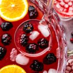 Holiday Punch - The Stay At Home Chef