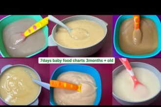 4 Month Baby Foods | Baby Puree Recipes|Baby First Solid Recipes-Homemade Stage 1 Foods |Faith Vibes