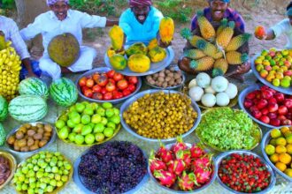 FRUIT SALAD | Colourful Healthy Fruits mixed salad recipe | Fruits Cutting and Eating in Village