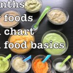 Baby Food Recipes For 6 Months | Fruit and Vegetable Purees | Porridges | Stage 1 Homemade BabyFood