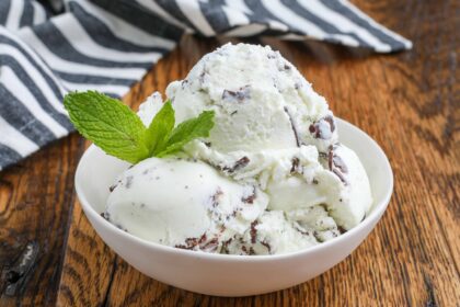 Mint Chocolate Ice Cream - Barefeet in the Kitchen