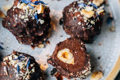 Macadamia and Hazelnut Chocolate Truffles [Vegan, Gluten-Free, Paleo, No Refined Sugar] – One Green Planet