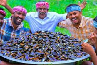 50 KG MUSSELS | River Mussels Fry Recipe Cooking & Eating In Village | Rare Healthy Recipe