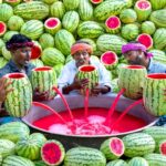 WATERMELON JUICE | Farm Fresh Fruit Juice Making | Watermelon Craft | Watermelon Experiment