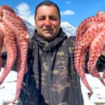 How Juicy To Cook OCTOPUS With Vegetables? A Very Tasty Recipe For Cooking Octopus